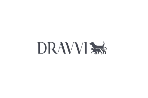 DRAVVISHOP